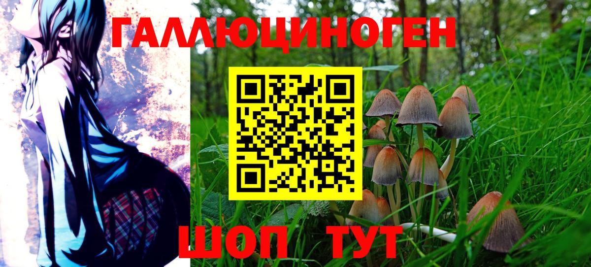 Псилоцибиновые грибы Magic Shrooms Гурьевск