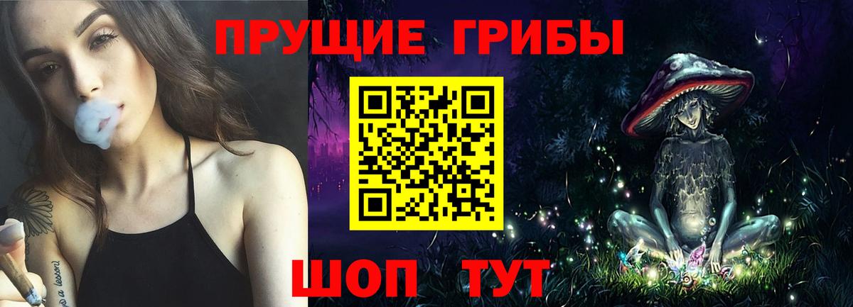 цена   Вход с VPN  Гурьевск  Псилоцибиновые грибы GOLDEN TEACHER 